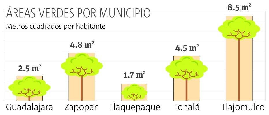 arboles201-f37a05da22824898a1bbfa771f893a35-1200x0
