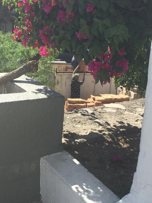 Áreas-verdes-Cortesía-7