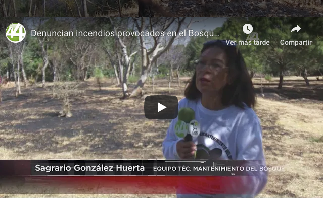 Denuncian incendios provocados en el Bosque Arboledas