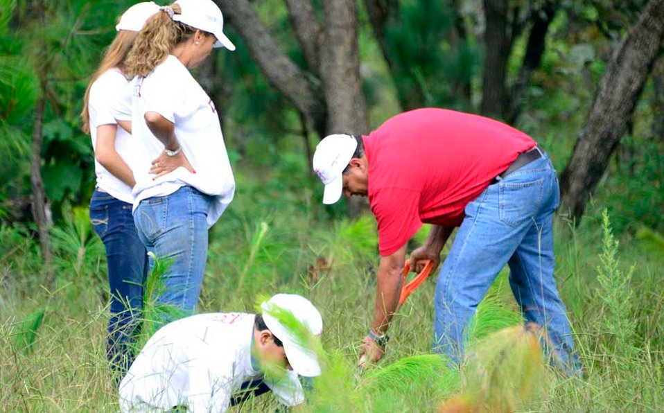 en-la-reforestacion-participaron-alrededor.jpeg