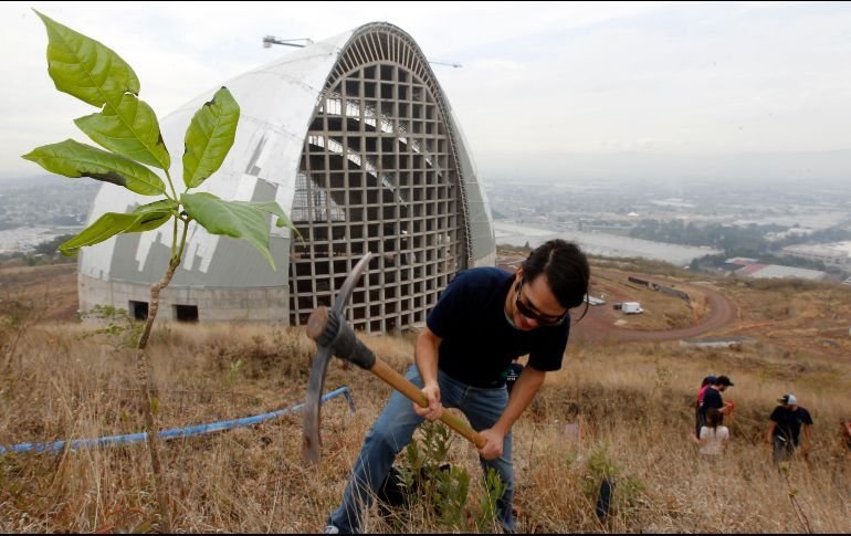 rs2310657_reforestacion_3_crop1564766338296.jpg_1970638775