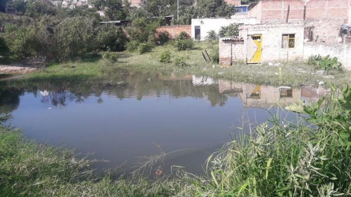 WhatsApp-Image-2019-08-21-at-5.26.58-PM-696x392.jpeg