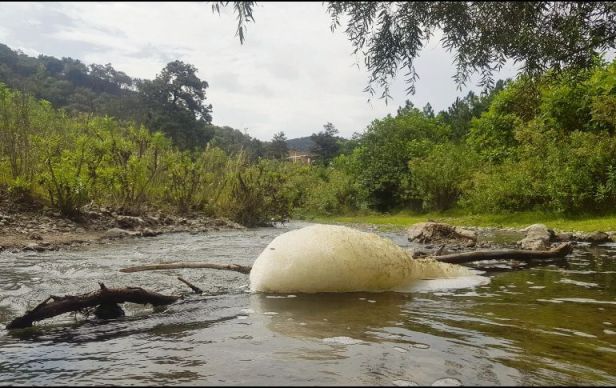 imagen_la_primavera_f__atilano_crop1569742580435.jpg_1970638775