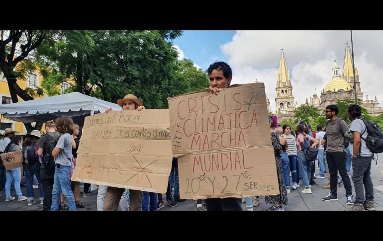 whatsapp_image_2019-09-20_at_11_46_53_am.jpeg_1970638775.jpeg