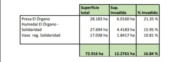 Screenshot_20191016_161153-1024x356