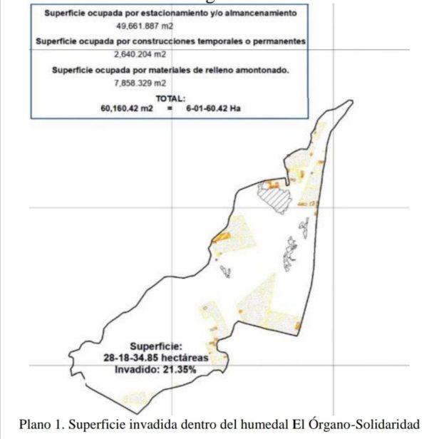 Screenshot_20191016_161220-1024x1024