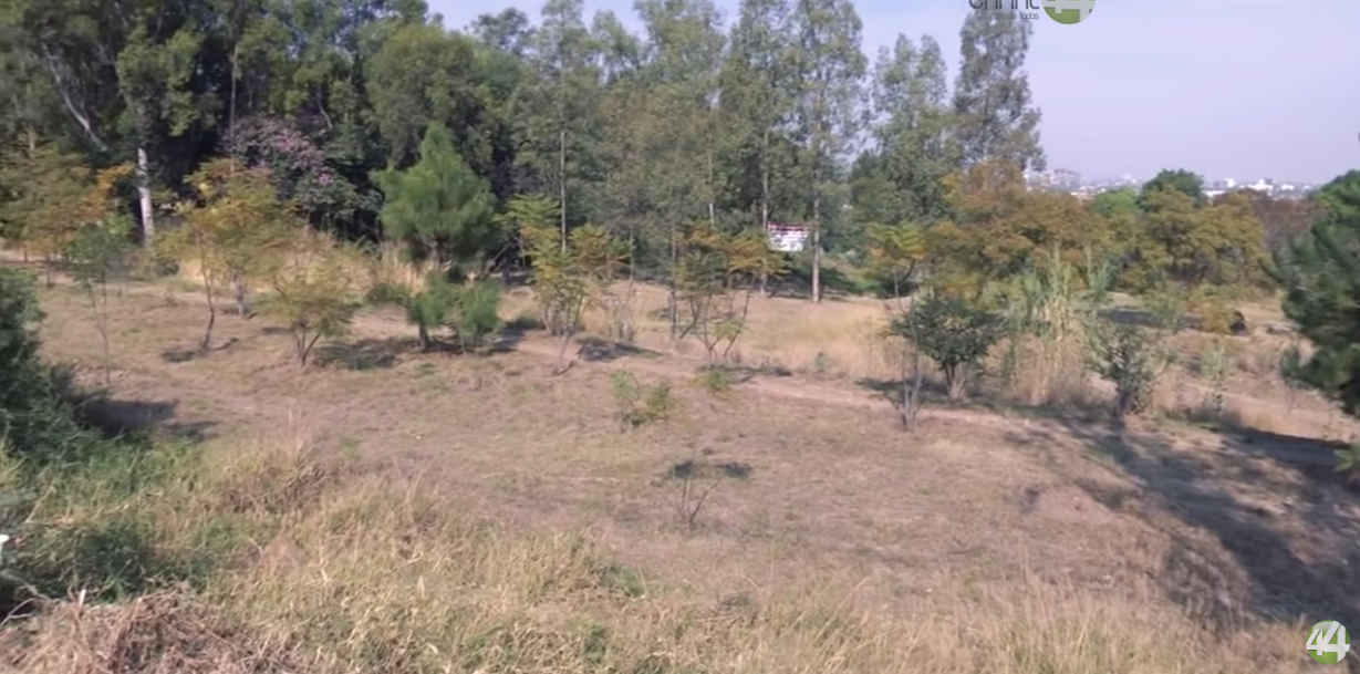 Territorio Reportaje | Disputa por un bosque Urbano