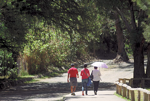 2020-01-06_03-01-38___8440