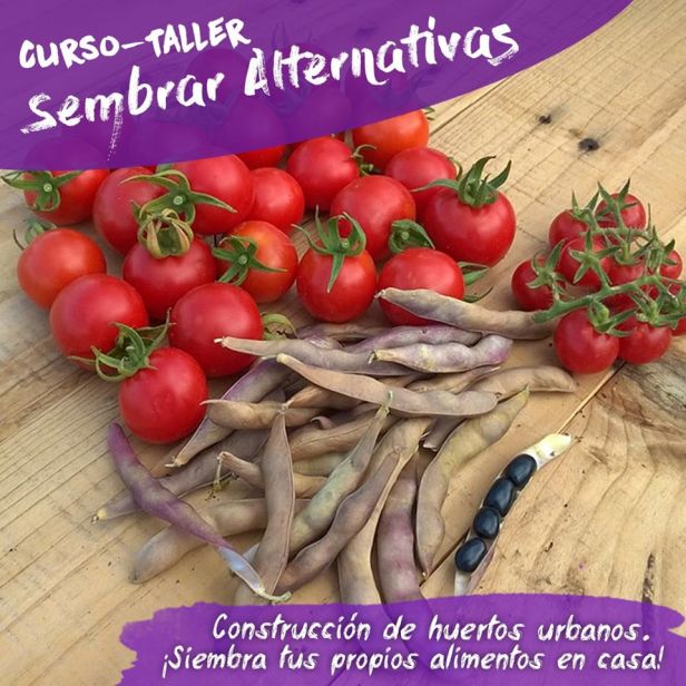 81283815_740412953115402_5762321311942574080_o