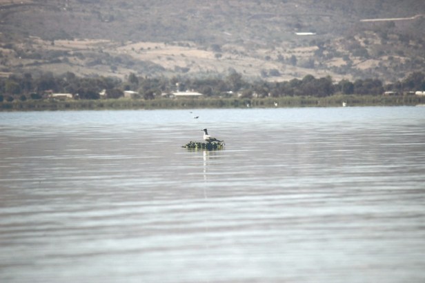 2020-02-21_12-02-27___2879