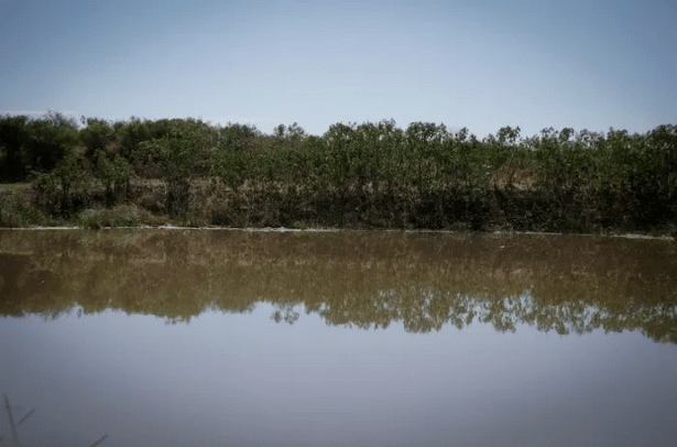 Captura de pantalla 2020-02-14 a la(s) 07.42.08