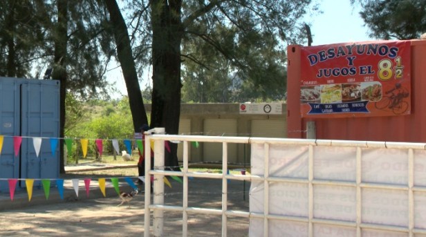 Primavera-negocios-Ben-Younes