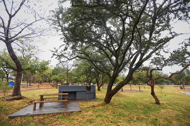 2020-03-04_01-03-09___322