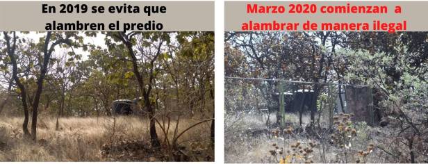 91785622_2774039736024477_6918705762780839936_o