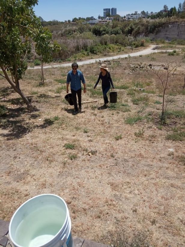 93483613_1645076885643562_8487342344582987776_o