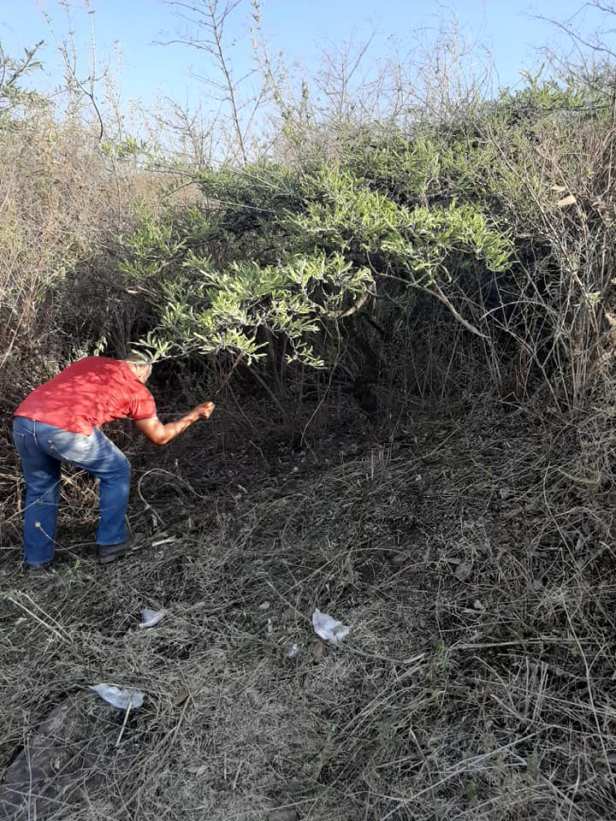 101066881_2726483447638863_5692897971671138304_n