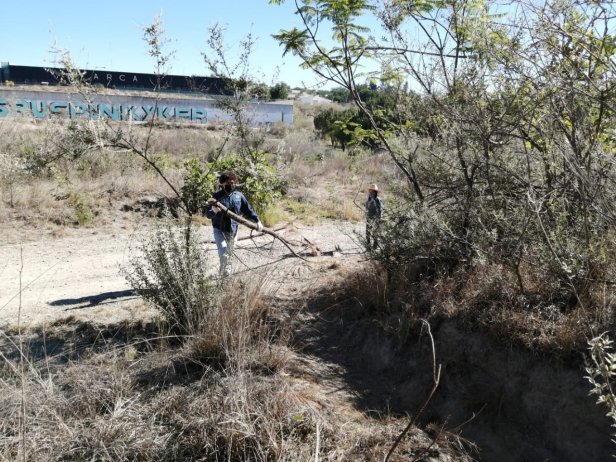 101213049_1684309588386958_5711567945398747136_o