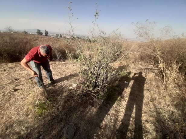 101404330_2726483397638868_5135166987630018560_n