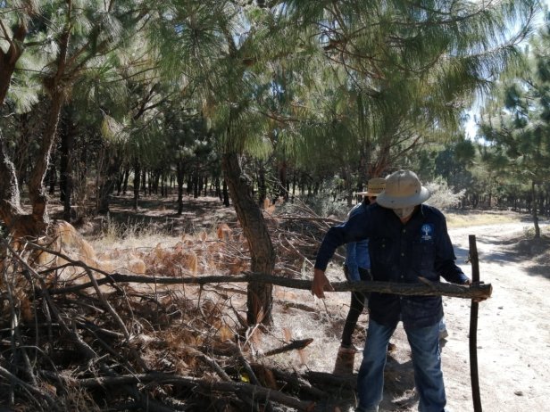 101735072_1684309725053611_2010431881534767104_o