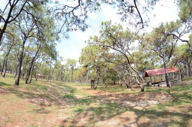 2020-05-26_12-05-05___9170