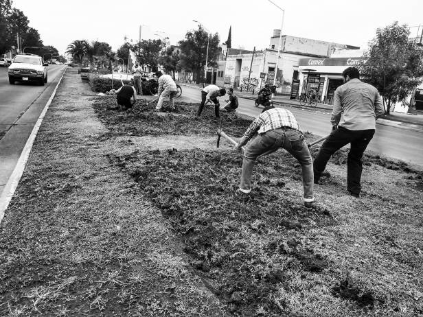 104691597_2860239187438439_4665337120019321378_o