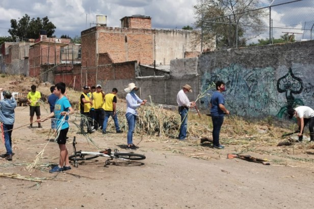 2020-06-12_06-06-10___8525