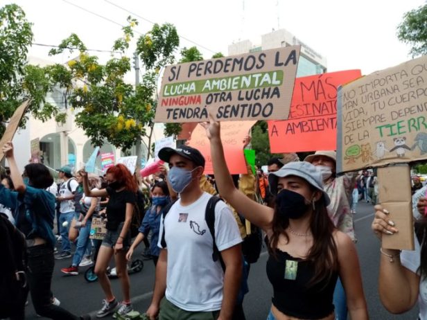 WhatsApp-Image-2020-06-11-at-19.15.04-696x522