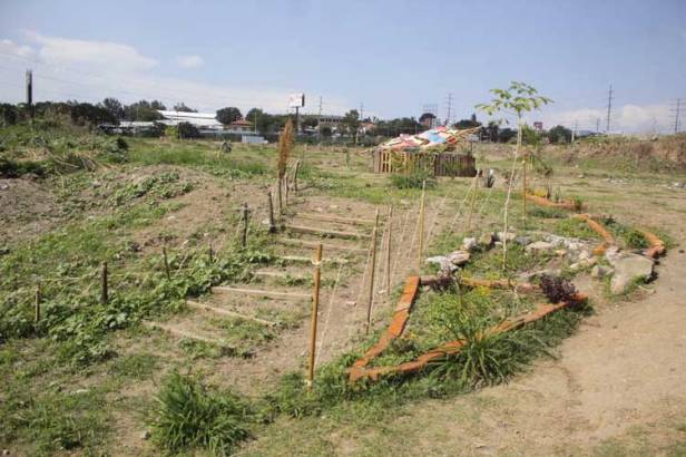 2020-07-14_11-07-05___3015