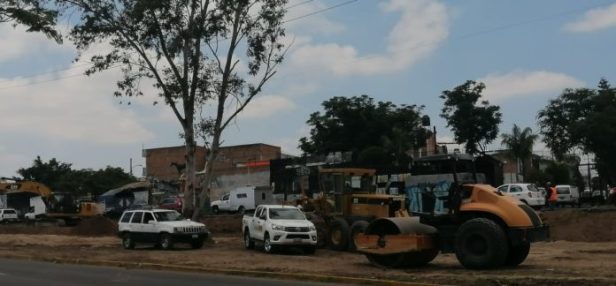 talan-árboles-696x324