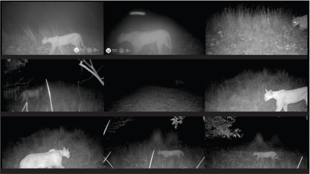 174114785_2542044689252529_5688078933007378579_n