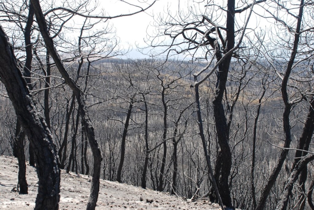 175924890_2555876877869310_6886231837857450049_n