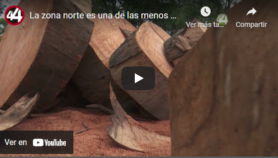 La zona norte es una de las menos deforestadas asegura el secretario de Semadet