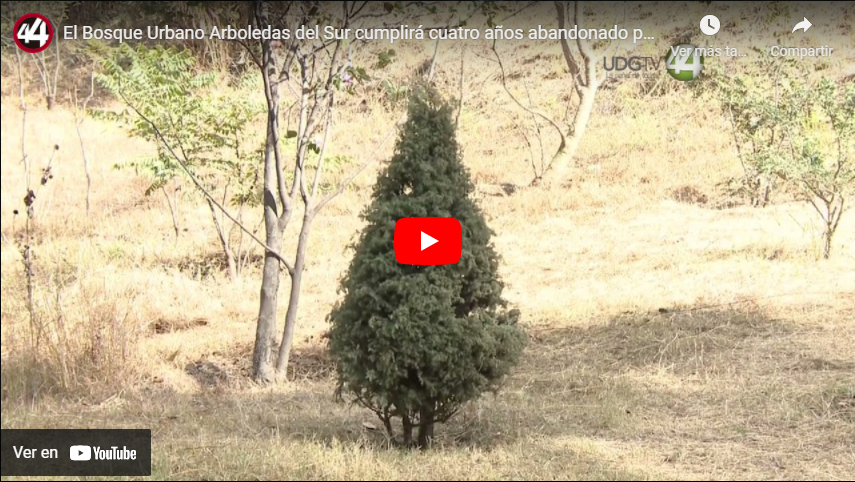 El Bosque Urbano Arboledas del Sur cumplirá cuatro años abandonado por las autoridades￼