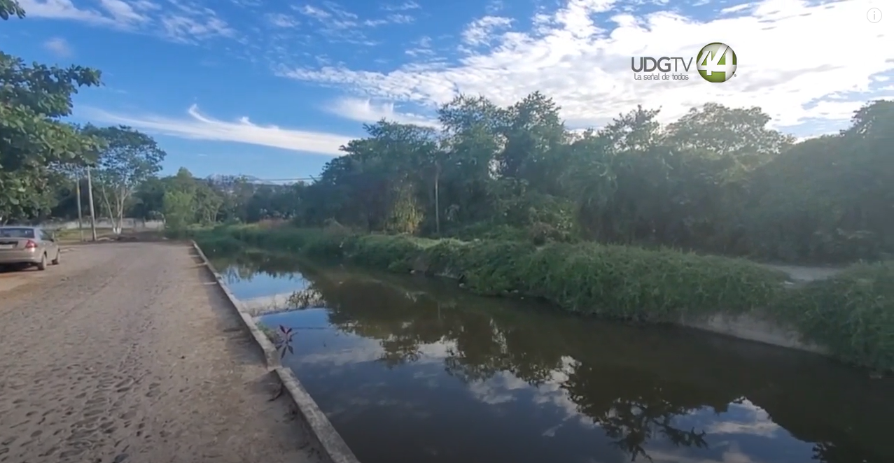 Vecinos de Parque Las Palmas tienen que soportar fétidos olores y peces muertos en el canal￼