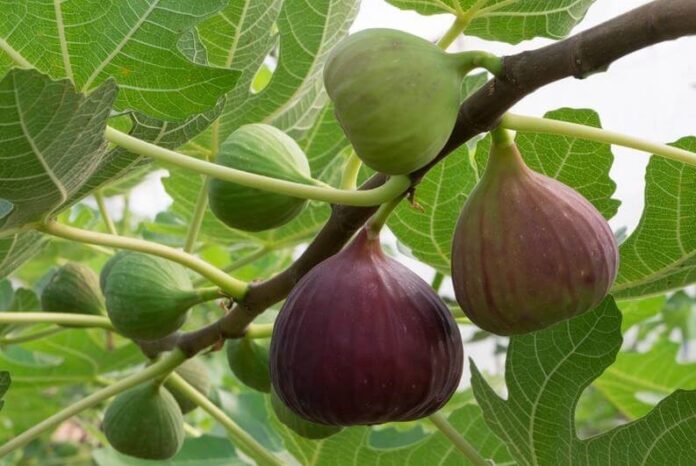 PHOTO-2022-01-28-09-22-06