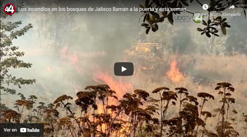 Los incendios en los bosques de Jalisco llaman a la puerta y esta semana se dieron los primeros 4.￼