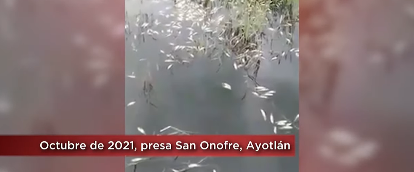 Territorio Reportaje | Tequila, el lado oscuro de una bebida￼