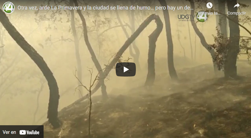 Otra vez, arde La Primavera y la ciudad se llena de humo… pero hay un detenido￼