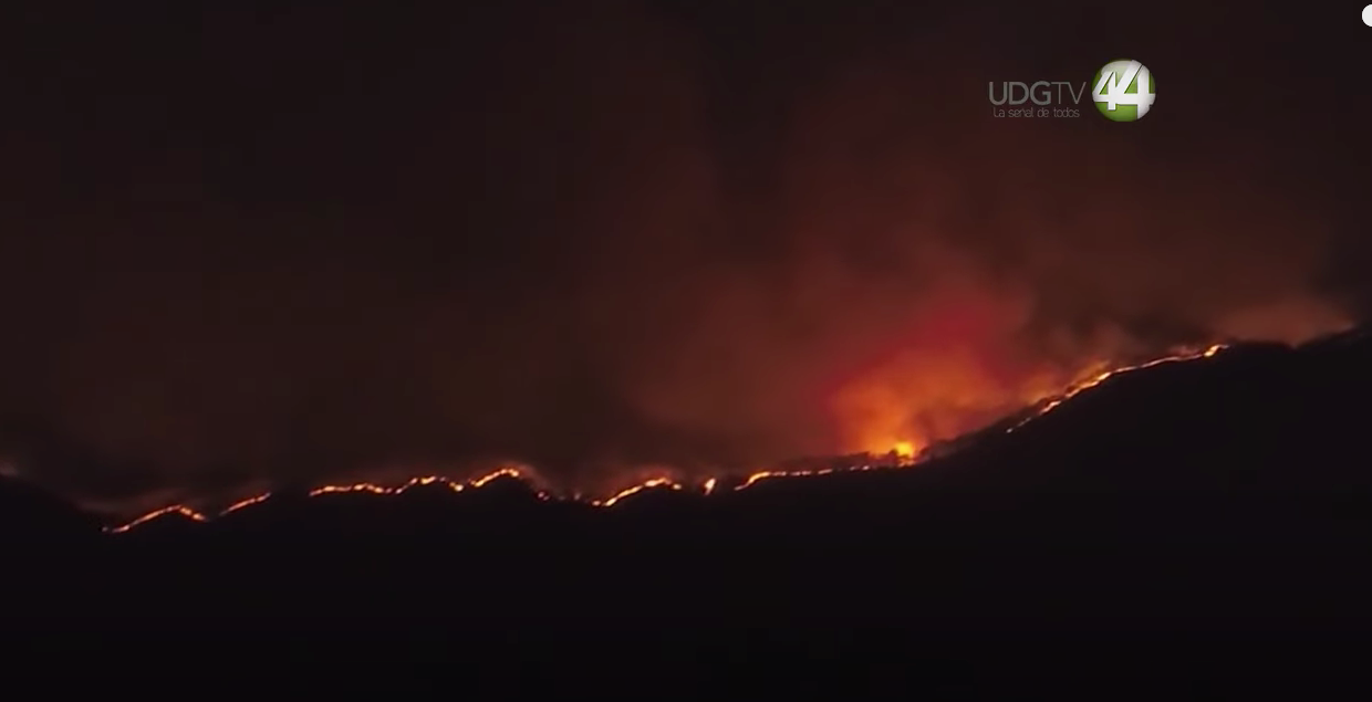 Ruta 44 || Incendios, eterna amenaza a los bosques￼