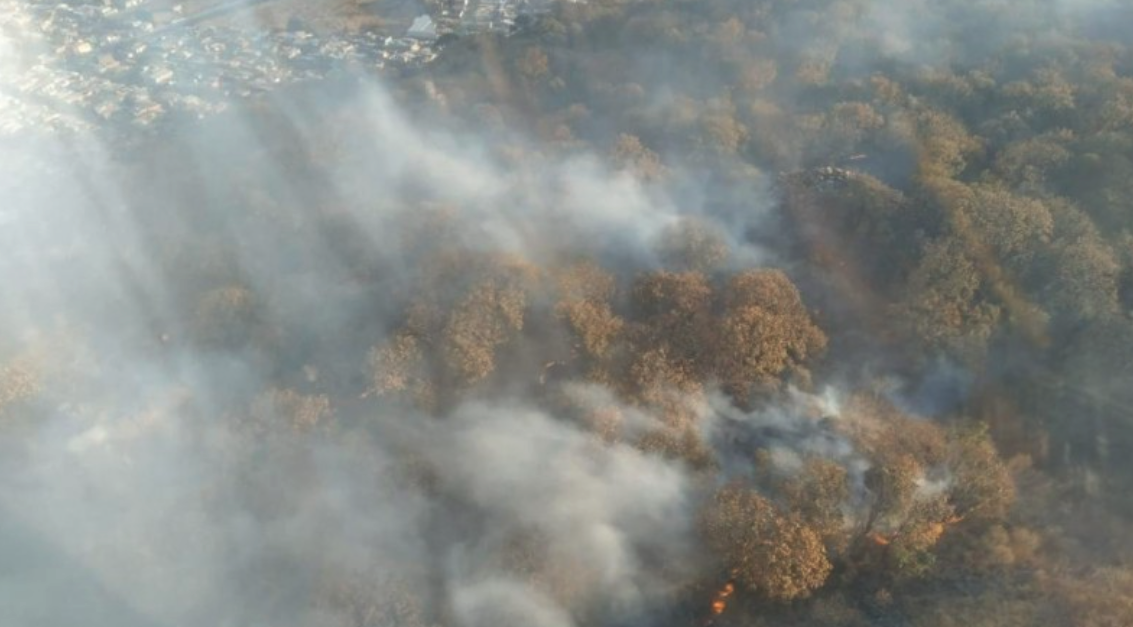 Mala calidad del aire en AMG tras incendios forestales | LABCSA