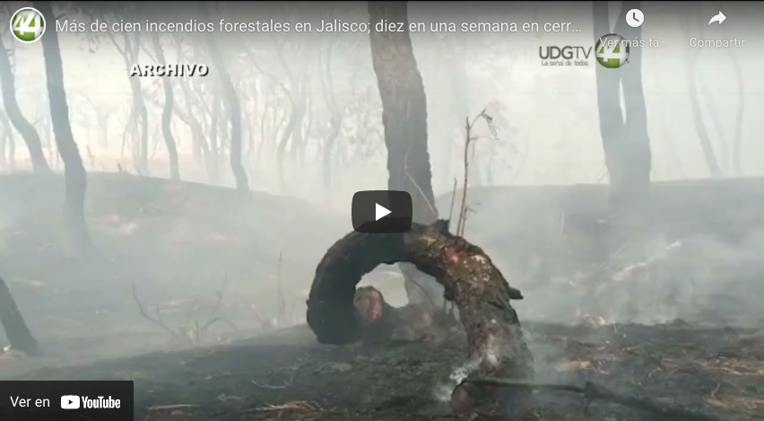 Más de cien incendios forestales en Jalisco; diez en una semana en cerro viejo obligó cerrar la zona￼