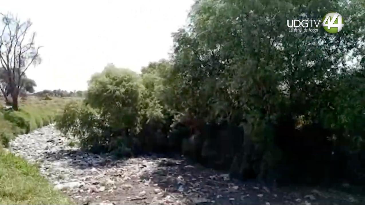 Un arroyo convertido en basurero: otro dolor de cabeza para los habitantes de El Salto￼