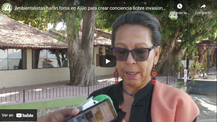 Ambientalistas harán foros en Ajijic para crear conciencia sobre invasiones en Chapala￼