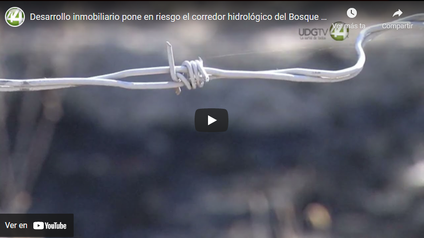 Desarrollo inmobiliario pone en riesgo el corredor hidrológico del Bosque Nixticuil en Zapopan￼