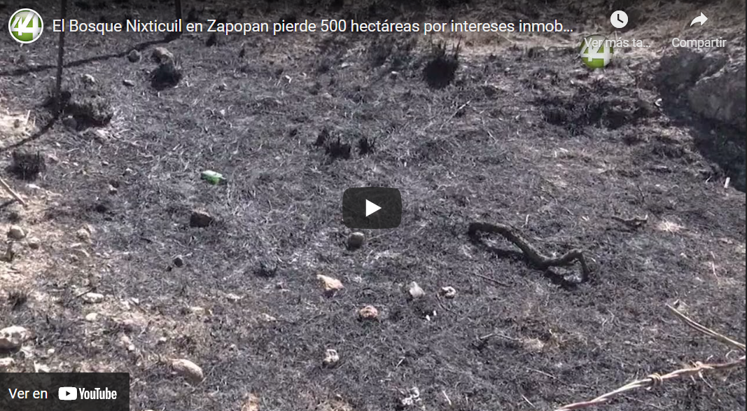 El Bosque Nixticuil en Zapopan pierde 500 hectáreas por intereses inmobiliarios en la última década￼