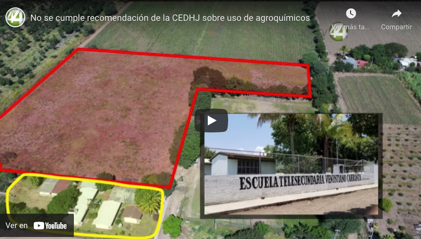 No se cumple recomendación de la CEDHJ sobre uso de agroquímicos￼