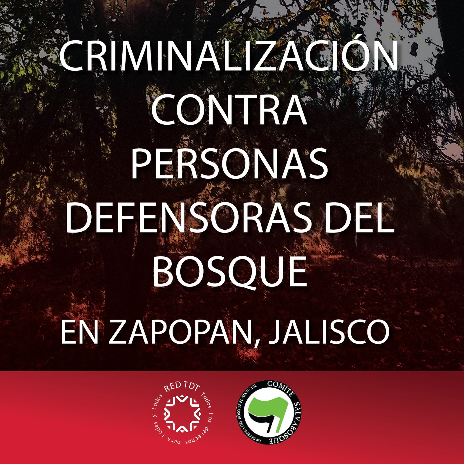 Criminalización contra personas defensoras del bosque en Zapopan, Jalisco