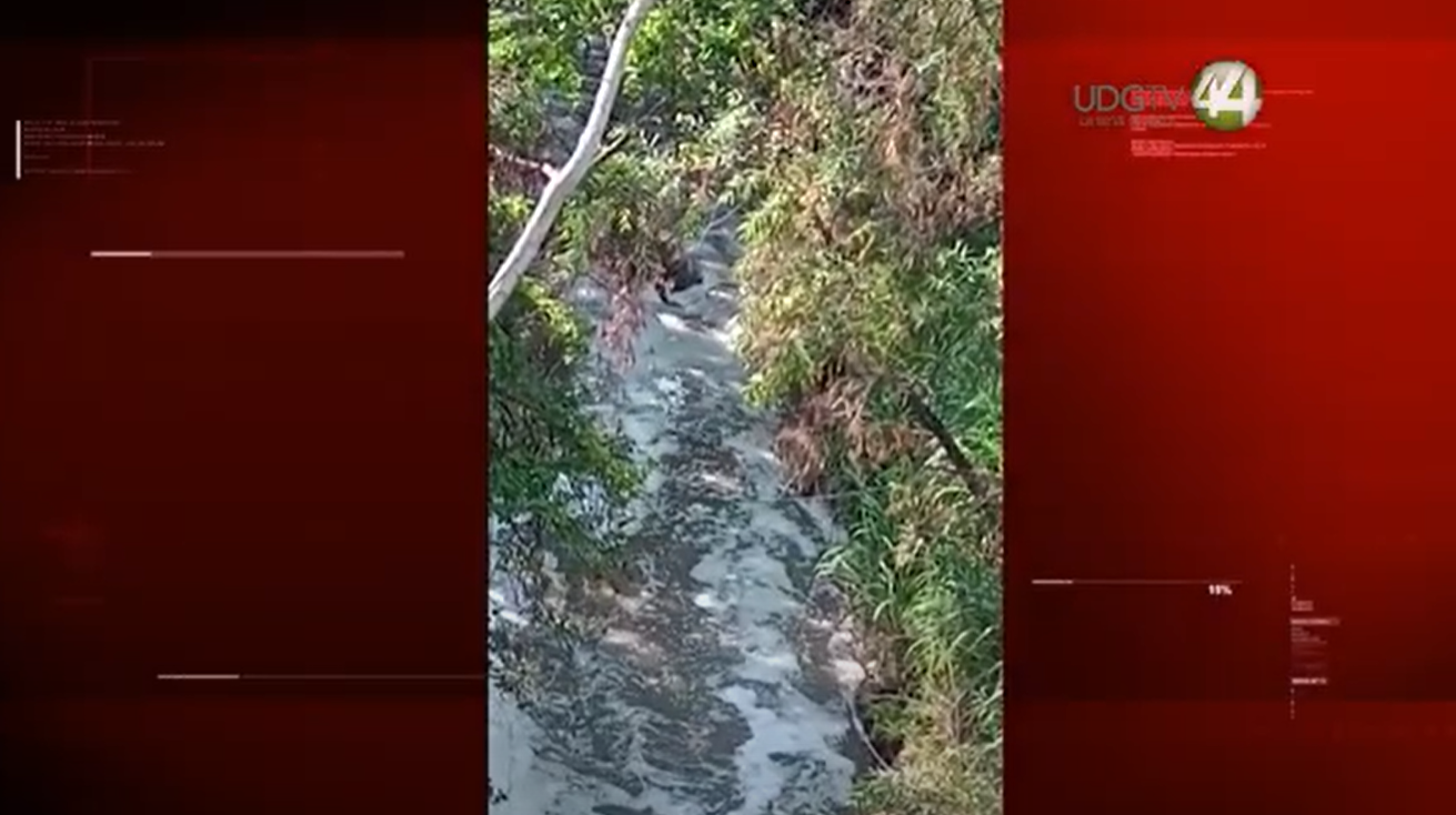 Hay fuga de lixiviados del tiradero Picachos hacia el río Milpillas, en Zapopan￼