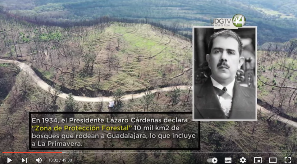 Territorio Reportaje || Un ecosistema milenario