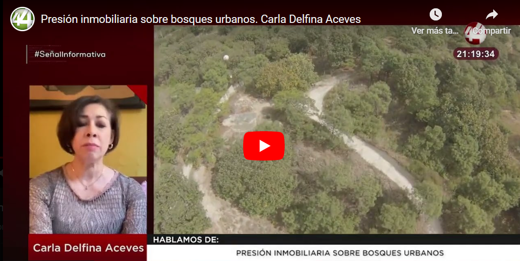 Presión inmobiliaria sobre bosques urbanos. Carla Delfina Aceves